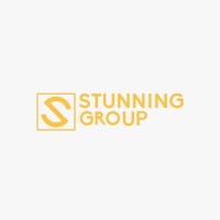 Stunning Lifestyle logo - Similar company to Softmedia