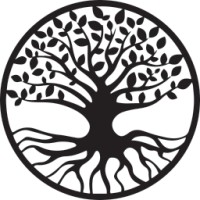 Dccs Management & Consulting