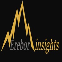 Erebor Insights logo - Similar company to Mine Plus Group