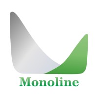 Monoline Technology and Services Pvt Ltd logo - Similar company to Evolut