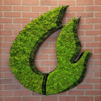 Clancy Learning, LLC logo - Similar company to Strategic Ascent