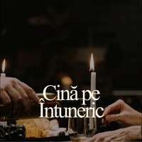 Cină pe Întuneric logo - Similar company to Aura Assistive Technologies