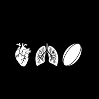 Live Breathe Rugby