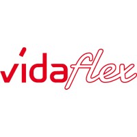 vidaflex logo - Similar company to Ddd.Space