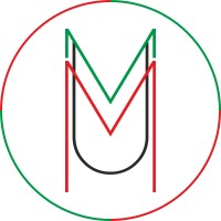mindmineunlimited logo - Similar company to Team 121 Creators