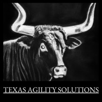 Texas Agility Solutions logo - Similar company to Pretorian Security Protection