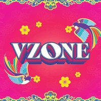 Vzone Media logo - Similar company to Ota Network