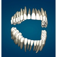 White October Solutions logo - Similar company to Appetizer Mobile Llc