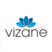 Vizane Consultoria logo - Similar company to Neurograff Eletromedicina