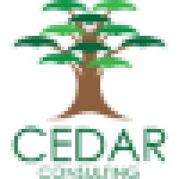 Cedar Consulting logo - Similar company to Cedar Consulting Group