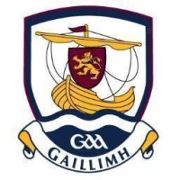 Galway GAA logo - Similar company to Leinster Gaa