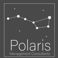 Polaris Management Consulting logo - Similar company to Gbmc Incorp (Global Bank Management Consulting)