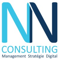 N&N Consulting logo - Similar company to Iria