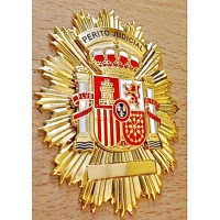 Perito Judicial Asociado sin animo de lucro logo - Similar company to Pericia - Informes Periciales