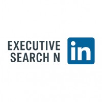 Executive Search N logo - Similar company to Silvertex Usa