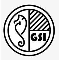 German Schule India logo - Similar company to Strive Digital Pvt Ltd