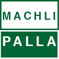 Machli Palla logo - Similar company to Digitechr