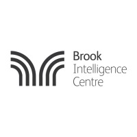 Brook Intelligence Centre logo - Similar company to Latin Brains