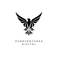 PureVentures Digital logo - Similar company to Derong - Air Filter Manufacturer & Supplier