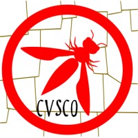 OWASP Cusco logo - Similar company to Cusco Ti