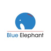 Blue Elephant Capital Advisors LLP logo - Similar company to 30Always