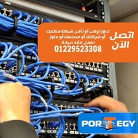 Portegy logo - Similar company to Work Wise Talent