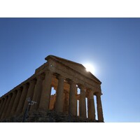 NW Orchard LLC logo - Similar company to The Greene Grape