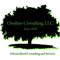 Ossabaw Consulting