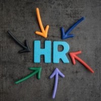 HR Professional Consultant logo - Similar company to Telaffects