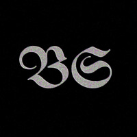 𝕭𝕾✧ logo - Similar company to Lisa Foundation