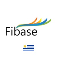 Fibase Uruguay logo - Similar company to Fibase Latam