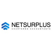 NetSurplus Chartered Accountants logo - Similar company to Excel Wealth