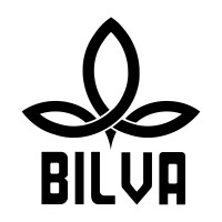Bilva Studios logo - Similar company to Neurom