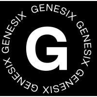 Genesix - Aceleradora de Marketing Digital e IA logo - Similar company to Fcam Foundation