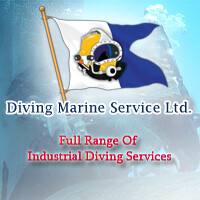 Diving Marine Service Ltd. logo - Similar company to Diver Underwater Contractors B.V.