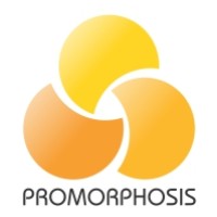 Promorphosis Pvt. Ltd. logo - Similar company to Viklele Consulting Llp