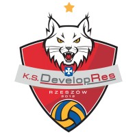 KS Developres Rzeszów S.A logo - Similar company to Uzar Installations