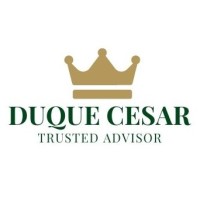 DCTA - Duque Cesar Trusted Advisor logo - Similar company to Dctara