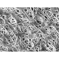 Tissue Engineering & Applied Cell Sciences logo - Similar company to Bme Students' Scientific Association