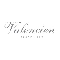 Valencien logo - Similar company to Fg Brindes