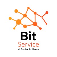 BitService logo - Similar company to Flynet Srl