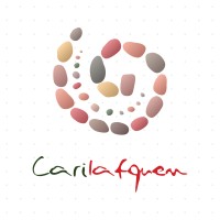Carilafquen logo - Similar company to Global Electrics