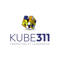 Kube 311 logo - Similar company to Napsia