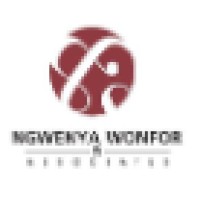 Ngwenya Wonfor & Associates logo - Similar company to Afrotim Construction