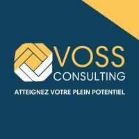 VOSS CONSULTING logo - Similar company to Walzwerk Motorcycles