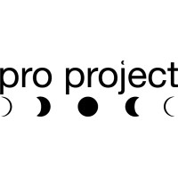 Pro Project logo - Similar company to Stone Climbing