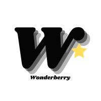 Wonderberry logo - Similar company to Def Noise