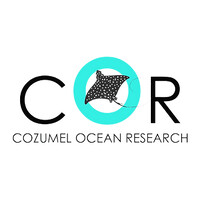 Cozumel Ocean Research logo - Similar company to Msc Marres - Université Côte D'Azur