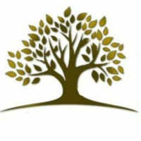 Oliveira & Vieira Advogados logo - Similar company to Scheer & Advogados Associados