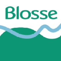 Blosse logo - Similar company to Allente